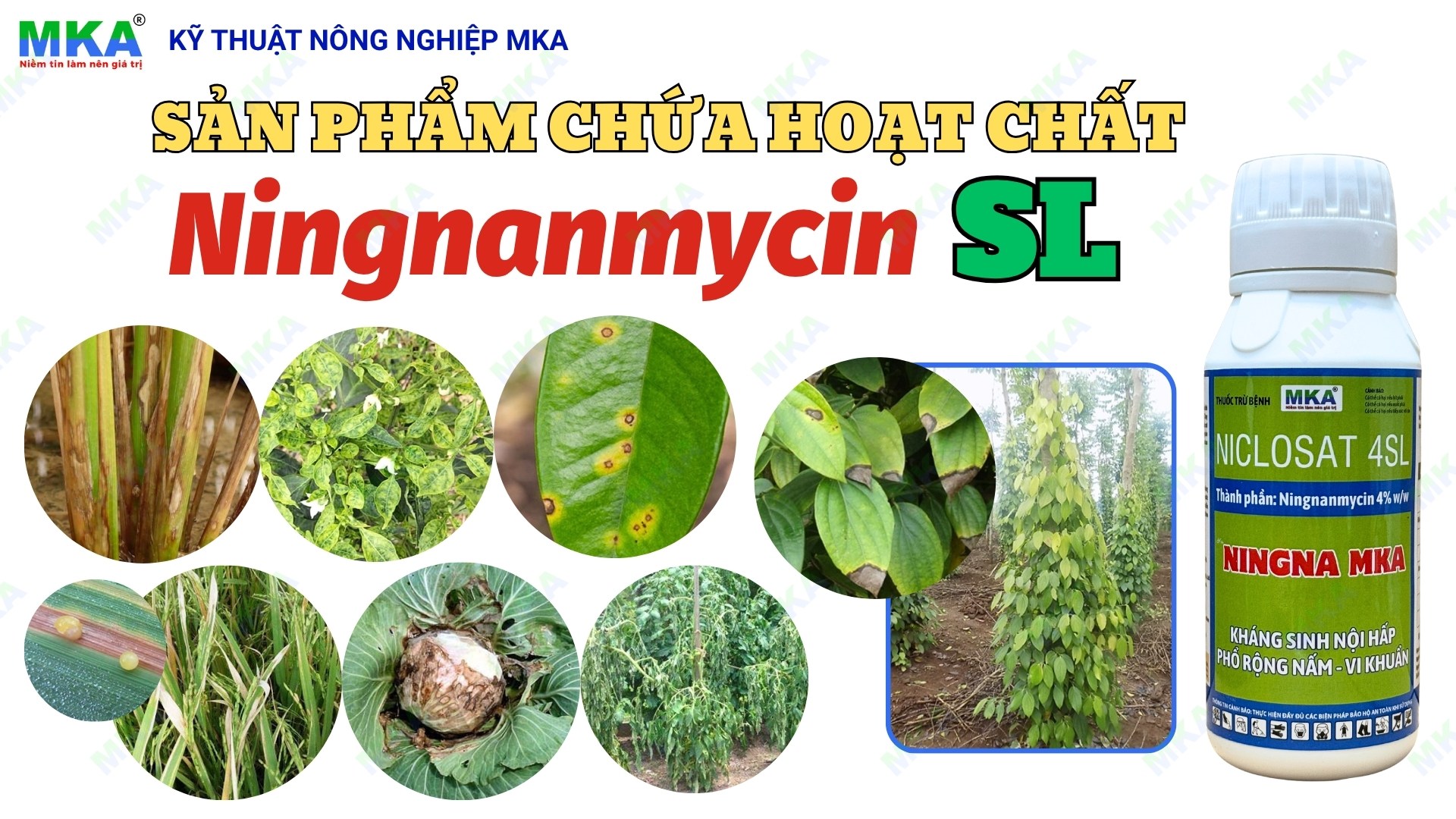 Thuốc vi khuẩn chứa hoạt chất Ningnanmycin